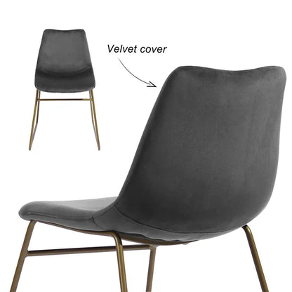 Modern Dining Chairs Set of 2;  Velvet Upholstered Side Chairs with Golden Metal Legs for Dining Room Furniture